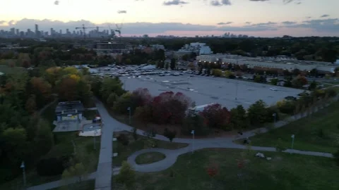 DroneFallForest015 Stock Footage 252831321