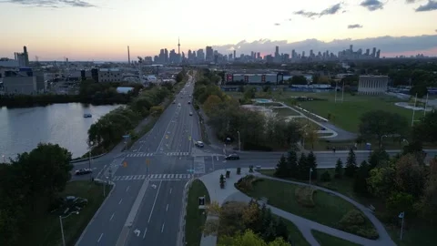 DroneFallForest016 Stock Footage 252831322