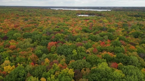 DroneFallLake003Oct11 Stock Footage 252772256