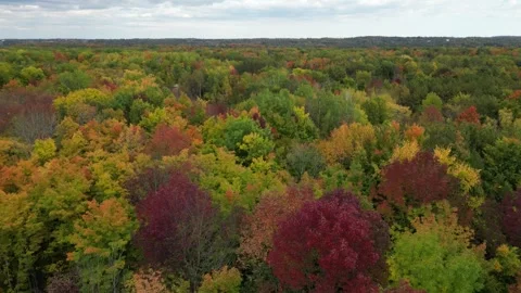 DroneFallLake004Oct11 Stock Footage 252772273