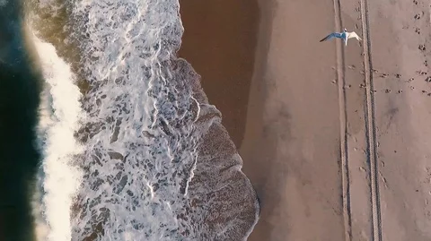 Droneflight over a shore Stock-Footage 90761989