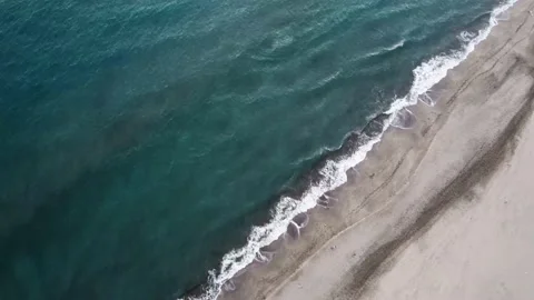Dronefly in Patara Beach (Turkey) Video stock 169023037