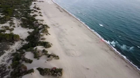 Dronefly in Patara Beach (Turkey) Video stock 169023044