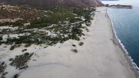 Dronefly in Patara Beach (Turkey) Video stock 169023045