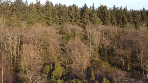 Drone's aerial perspective flying backwards Video stock 335198904