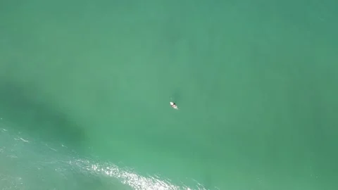 Drone's Aerial: Riding the Waves Surfers' Euphoria Along the Brazilian Coastline Stock Footage 256236593