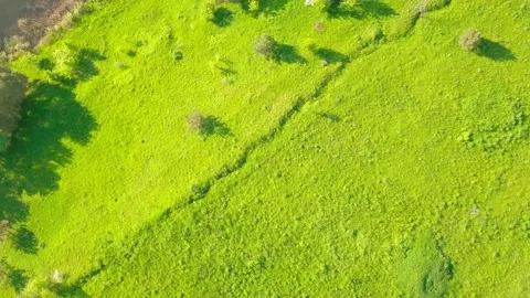 The drone's aerial view camera circles over a green field or meadow. Stock Footage 155748543