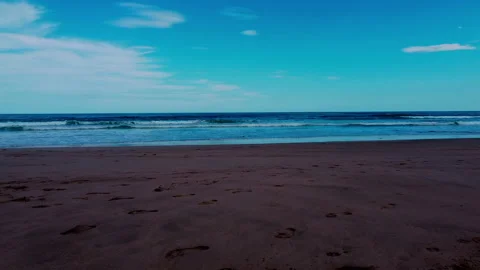 Drone's Coastal Adventure: Through Beachside Branches to the Ocean 스톡 동영상 249965023