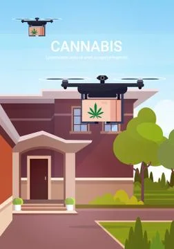 Drones delivering cannabis parcel boxes marijuana legalization sky transporta Illustrazione stock