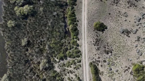 A Drone's Direct Overhead Glimpse Stock Footage 314070252