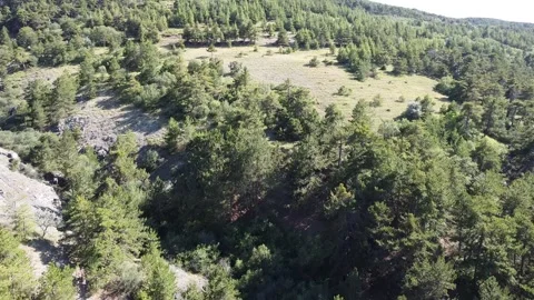 Drone's Dramatic Descent: Jaw-Dropping Footage of a Drone Crash in the Forest Stock Footage 245025586