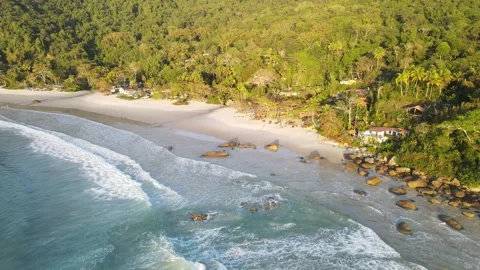 Drone's Exploration:Beach's Crystal Blue Green, Jungle &amp; Crystal Waters Stock Footage 256230124