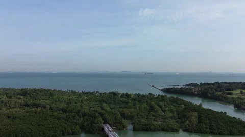 Drone's Eye Perspective on a Dynamic Seascape Vidéo 325199288