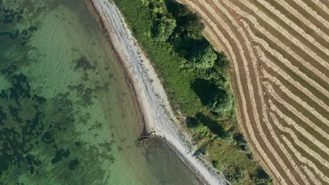 Drone's Eye View of Agricultural Fields and Coastline in Denmark Stock Footage 244864782