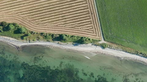 Drone's Eye View of Agricultural Fields and Coastline in Denmark Stock Footage 244865077
