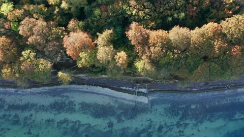 Drone's Eye View of the Coastline on the Moen in Denmark. Stock Footage 245482932