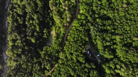 Drone's Eye View - top down foliage trees background, Caucasus, Russia. Stock Footage 118162887