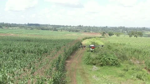DRONES FOR FARMING 库存影片 136154691