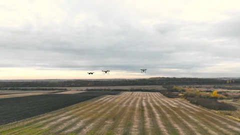 Drones Flying Over Agricultural Fields, Three drones hovering above patterned Stock Footage 264589151