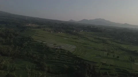 Drones Flying Over Rice Fields in Cianjur, West Java, Indonesia 스톡 동영상 224932355