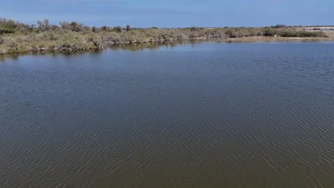 A Drone's Intimate Perspective of a Tranquil Lake Stock Footage 313442676