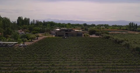A Drone's Journey Through the Vineyard Stock Footage 274364122
