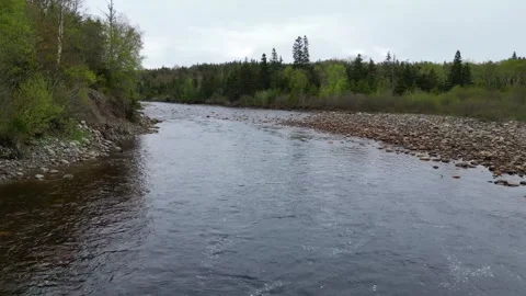 Drone's Low Flight Over a Newfoundland River Stock Footage 253471984