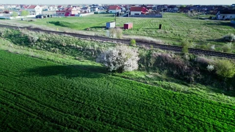 A drone's perspective of a solitary white tree blooming in a meadow Video stock 272993433