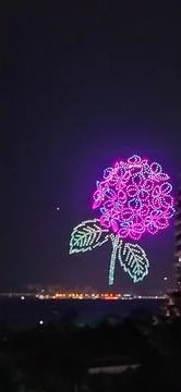 Drones in the sky animating HYDRANGEA flowers Stock-Fotos