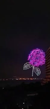 Drones in the sky animating HYDRANGEA flowers Stock-Fotos