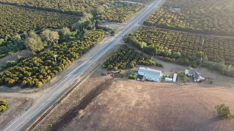 A Drone's View of a Farmlands Stock Footage 265073468