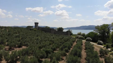 A drone's view of Isola Polvese Stock Footage 137728992