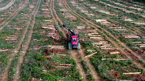 Drones view of logging truck in field Stock Footage 172559351