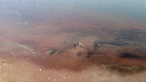 Drones view, water surface in summer dam, environmental concept Stock Footage 122532537