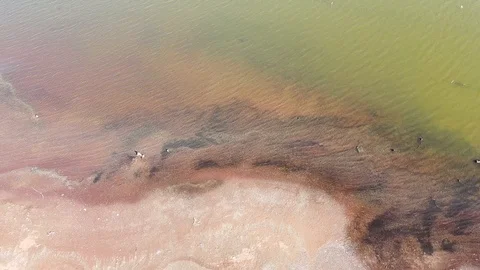 Drones view, water surface in summer dam, environmental concept Stock Footage 122532559