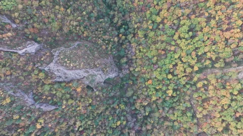 A Drones View of a Wooded Landscape Stock Footage 266914741