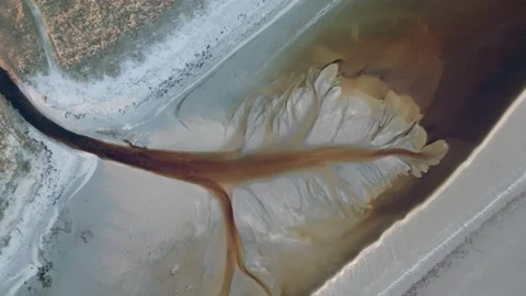 Droneshot of dark ditchwater making tree like pattern on a beach. Shot in Stock Footage 233565434