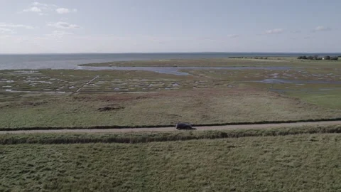 Droneshot flying over danish forest Video stock 249594392