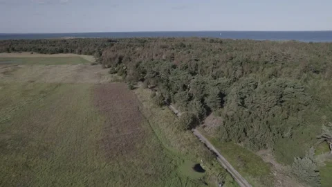 Droneshot flying over danish forest #6 Video stock 249594493