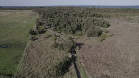 Droneshot flying over danish forest #5 Video stock 249594531