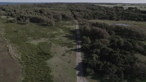 Droneshot flying over danish forest #4 Video stock 249594733