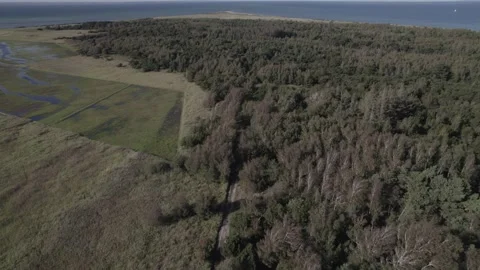 Droneshot flying over danish forest #3 Video stock 249594765