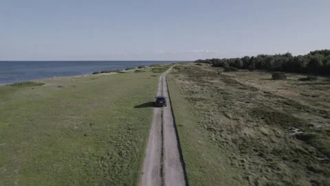 Droneshot flying over danish forest #2 Video stock 249594820