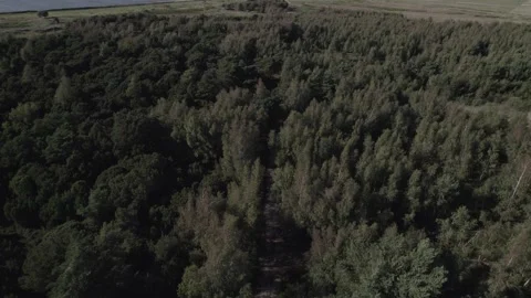 Droneshot flying over danish forest #1 Video stock 249594935