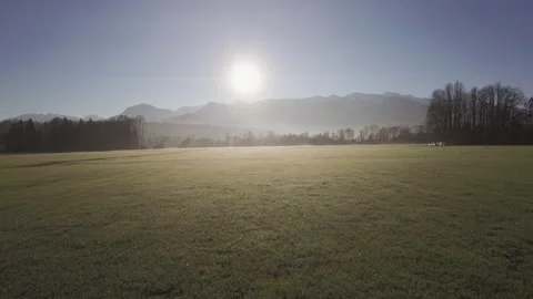 Droneshot of grassy landscape Stock Footage 229108201