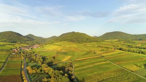 Droneshot of Green Fields and Mountains in the background (golden hour) Vídeos de archivo 159890972