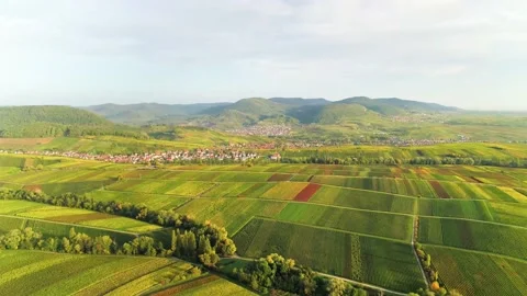 Droneshot of Green Fields and Mountains in the countryside Видео 159890985