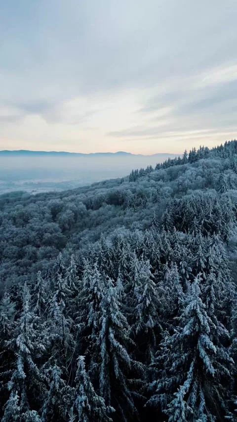 Droneshot winterwonderland vertical Stock Footage 247269963