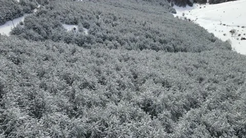 Drone,view, winter, beautiful, ski, panorama, outdoors,clouds,skiing Stock Footage 169921949