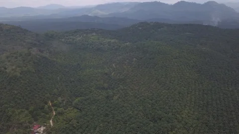 DroneVillage Stock Footage 91922031